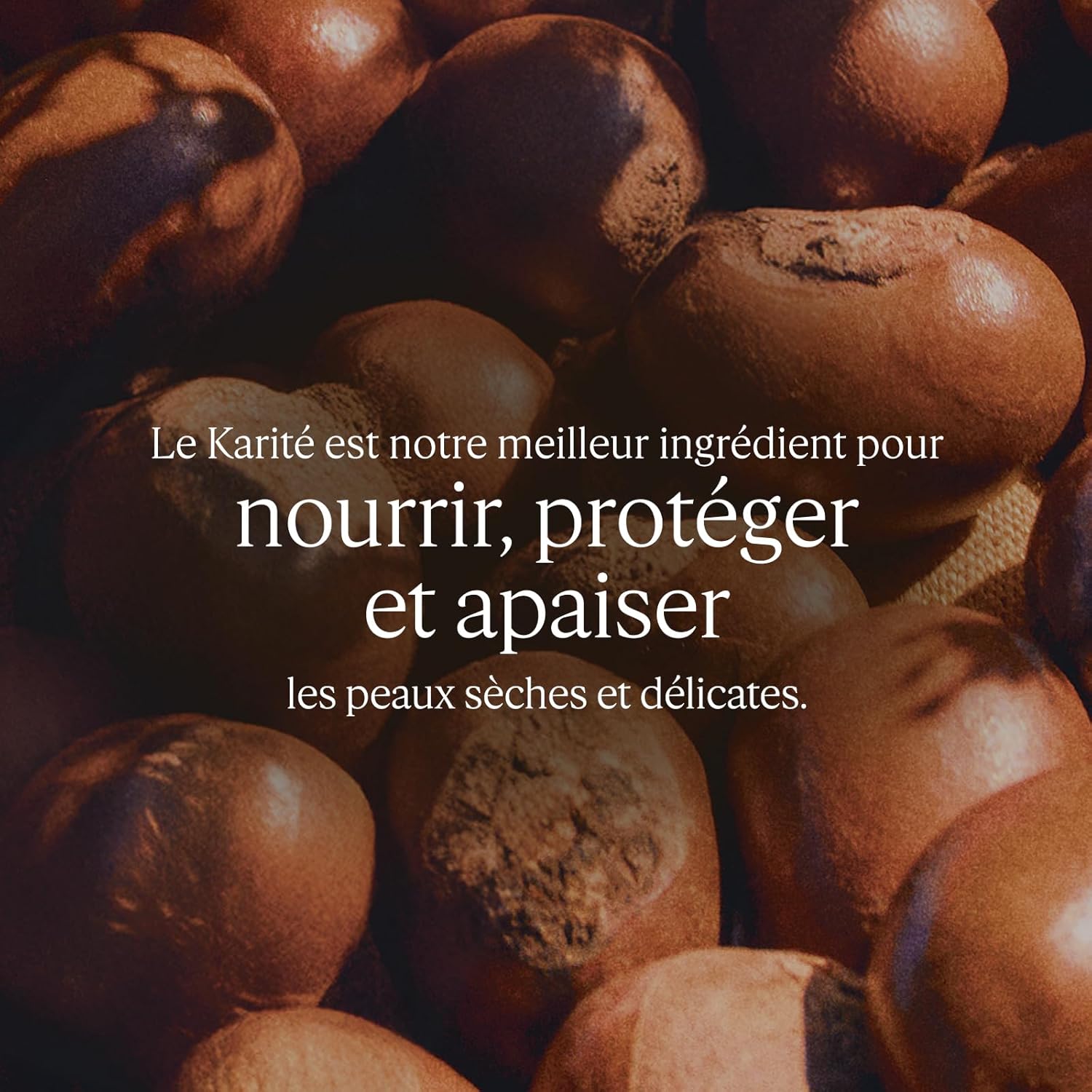 L'OCCITANE - Crème Visage Ultra Riche Karité - Peaux sèches et sensibles - 50 ml - Hydratant - Fabriqué en France