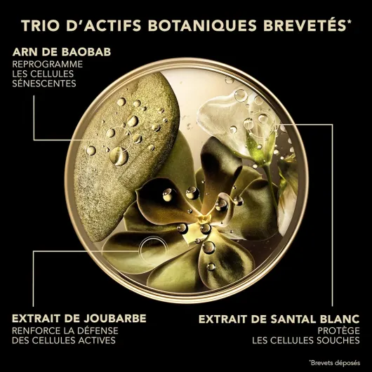 81z49pNPd-L._AC_SL1500_