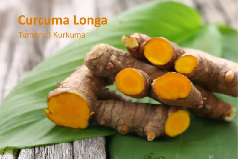 61tw9 QczZL._AC_SL1051_