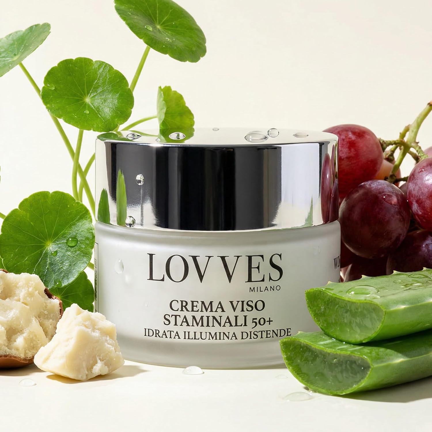 Crème Visage Cellules Souches 50+, Haute Cosmétique Naturelle, Crème Visage Anti-Rides, Anti-âge pour Peaux Matures, Hydratante, Jour et Nuit, Format Pot Verre 50 ml